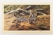 Anthony Gibbs 1989 Dawns First scent unframed print – price £195