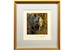 Anthony Gibbs 1991 Five faces of India Great Indian Rhinoceros framed print – price all 5 of £135