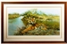David Shepherd 1977 Tiger in the Sun framed print – price £475