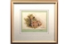 David Shepherd 1980 Young Kudu framed print - price £65