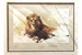 David Shepherd 1987 Lion sketch unframed print – price £80
