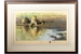 David Shepherd 1987 Cool Waters framed print – price £365