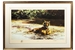 David Shepherd 1988 India Siesta framed print – price £450