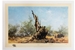 David Shepherd 1988 Rhino Beware unframed print – price £150