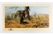 David Shepherd 1989 Land of the Baobab Tree unframed print – price £140