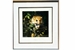 David Shepherd 1990 Dormouse framed print – price £125
