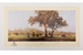 David Shepherd 1990 Luangwa Evening unframed print – price £105