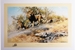David Shepherd 1991 The Two Gentlemen of the Savuti unframed print – price £105