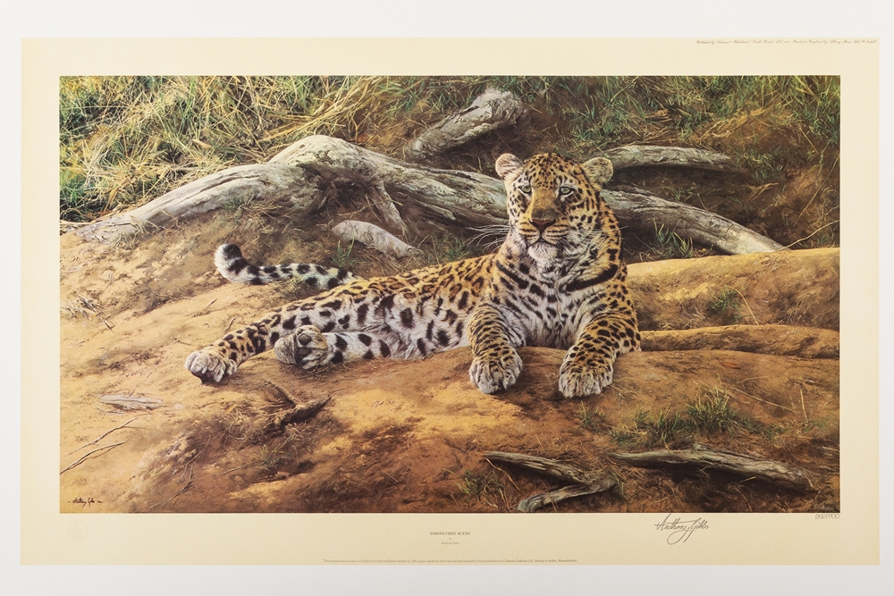 Anthony Gibbs 1989 Dawns First scent unframed print – price £195
