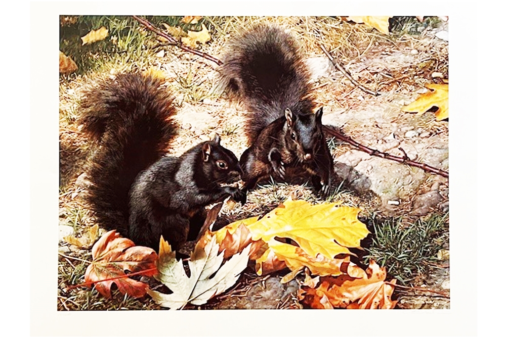 Carl Brenders Northern Cousins unframed print – price £165