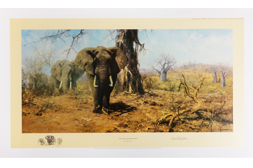 David Shepherd 1989 Land of the Baobab Tree unframed print – price £140