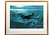 Gerald Coulson 1993  Night of the Hunter – Blenheim night fighter framed print – price £75