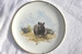 David Shepherd 1990 A set of 8 wildlife studies on plates £45 each : Rhino
