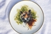 David Shepherd 1990 A set of 8 wildlife studies on plates £45 each : Tiger 