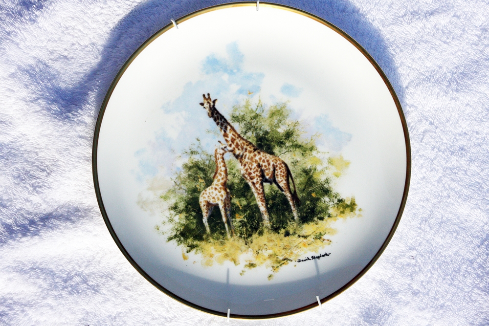 David Shepherd 1990 A set of 8 wildlife studies on plates £45 each : Giraffe