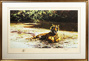 Animal Prints - by Anthony Gibbs,David Shepherd, Carl Brenders, Simon Coombes